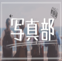 ポートフォリオ