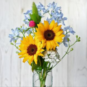 ヒマワリとシルバーブルニアの花ギフト