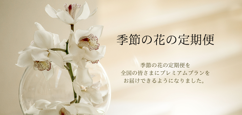 花の定期便