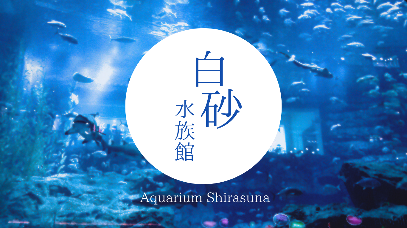 白砂水族館