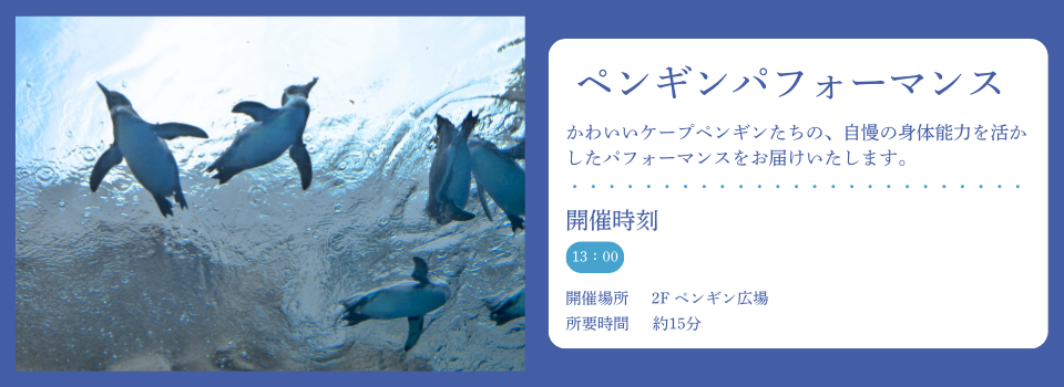 ペンギンショー