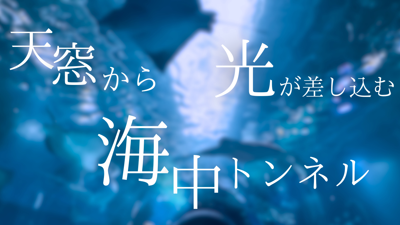 海中トンネル