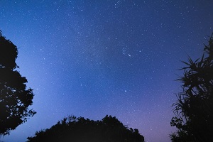星空観賞ツアー