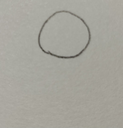 まず、鳥の輪郭部分を描いていきます。
