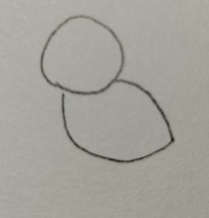 鳥の胴体部分を描きます。