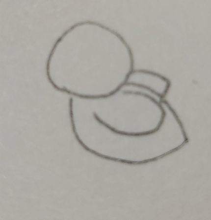 ここで、鳥の羽を描いていきます。