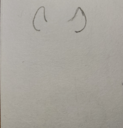 まず、チンチラの耳部分を描きます。