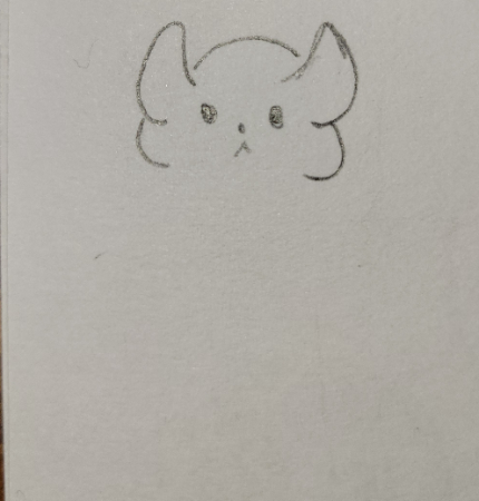チンチラの顔部分を描いていきます。